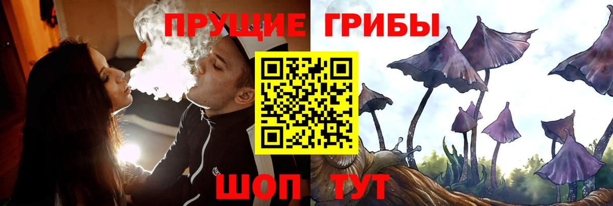 Псков  где купить   Вход с VPN  Псилоцибиновые грибы прущие грибы 